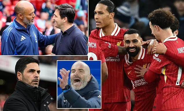 1740679330880072094.jpg 1740679310323.jpg